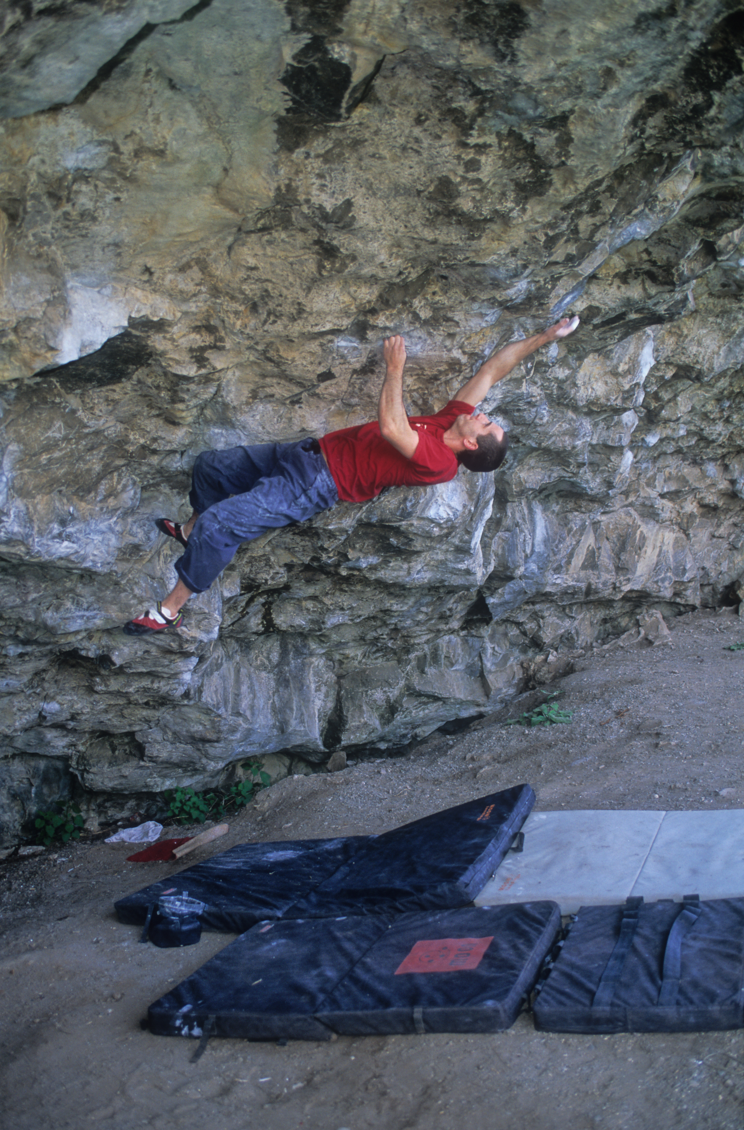Photo: Ray Wood