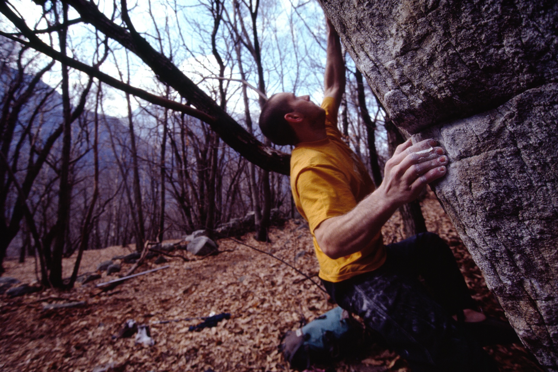 Photo: Andy Harris