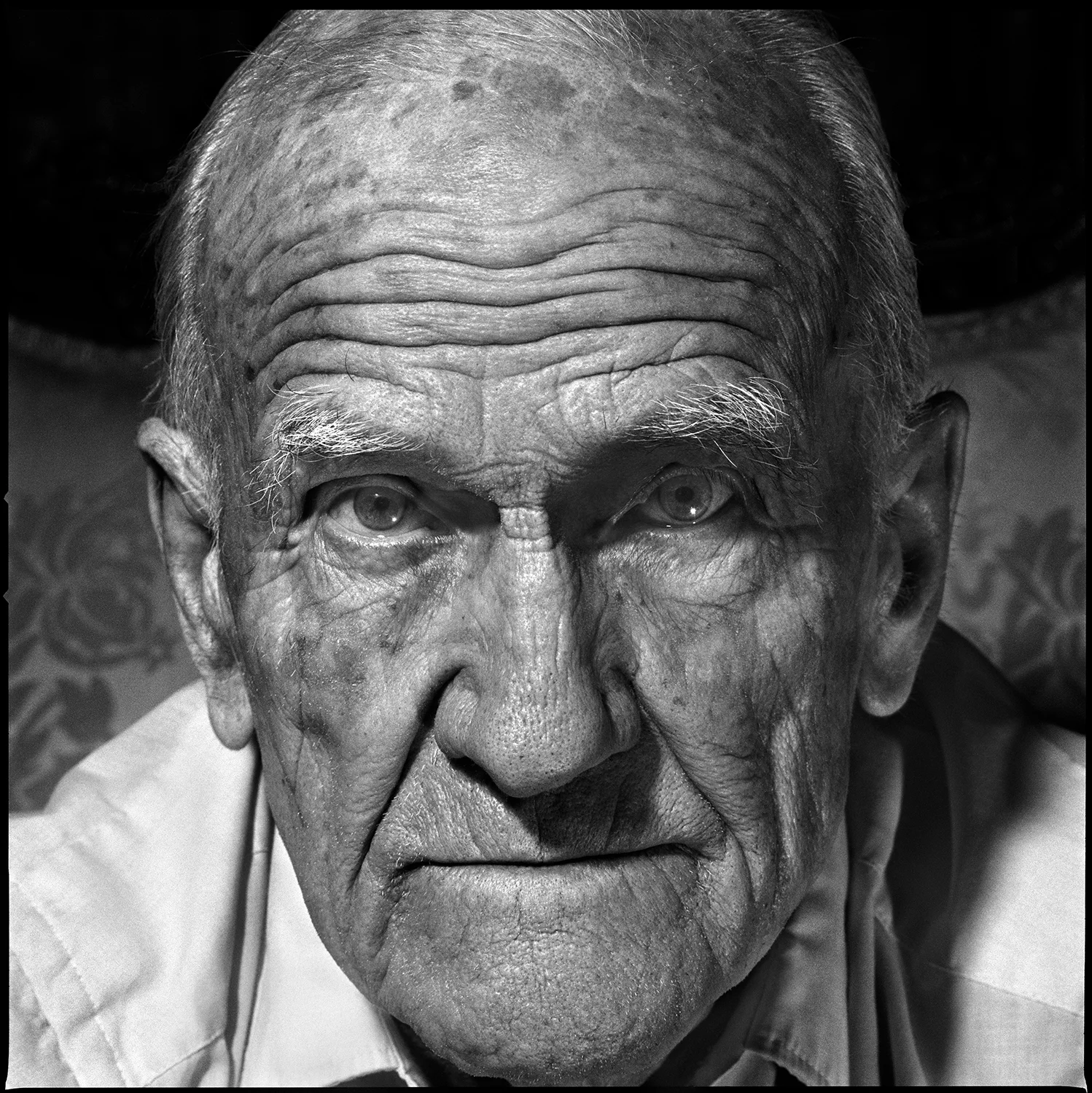 Bradford Washburn, 2002