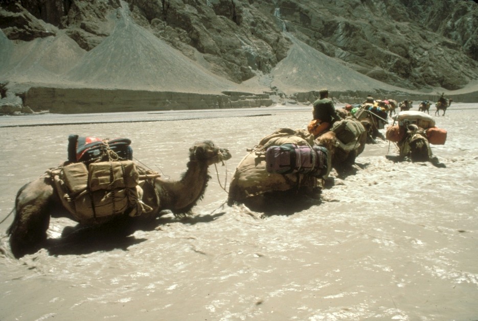 Camel+Train+crossing+the+Shaksgam+River+1990.jpg