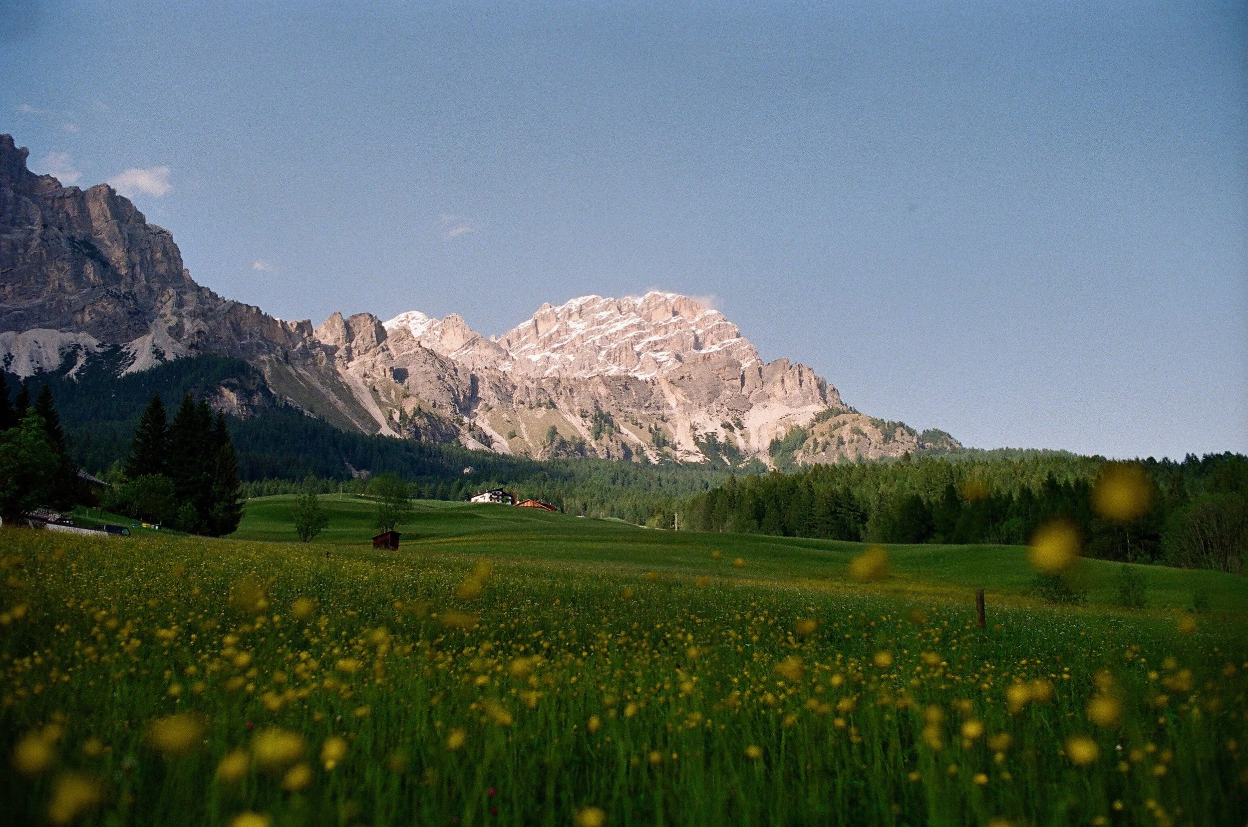 Image #1.jpg