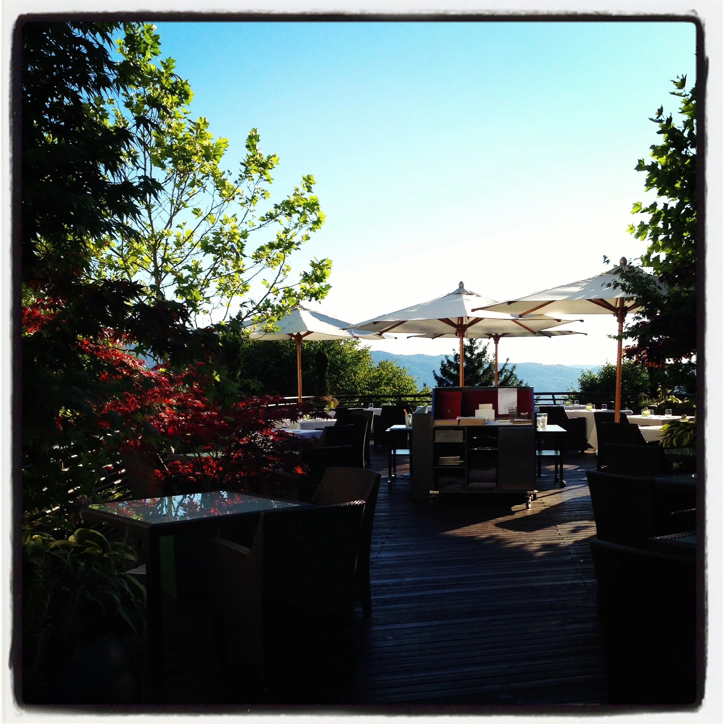 Rigiblick Spice (Dennis Puchert) - Zürich