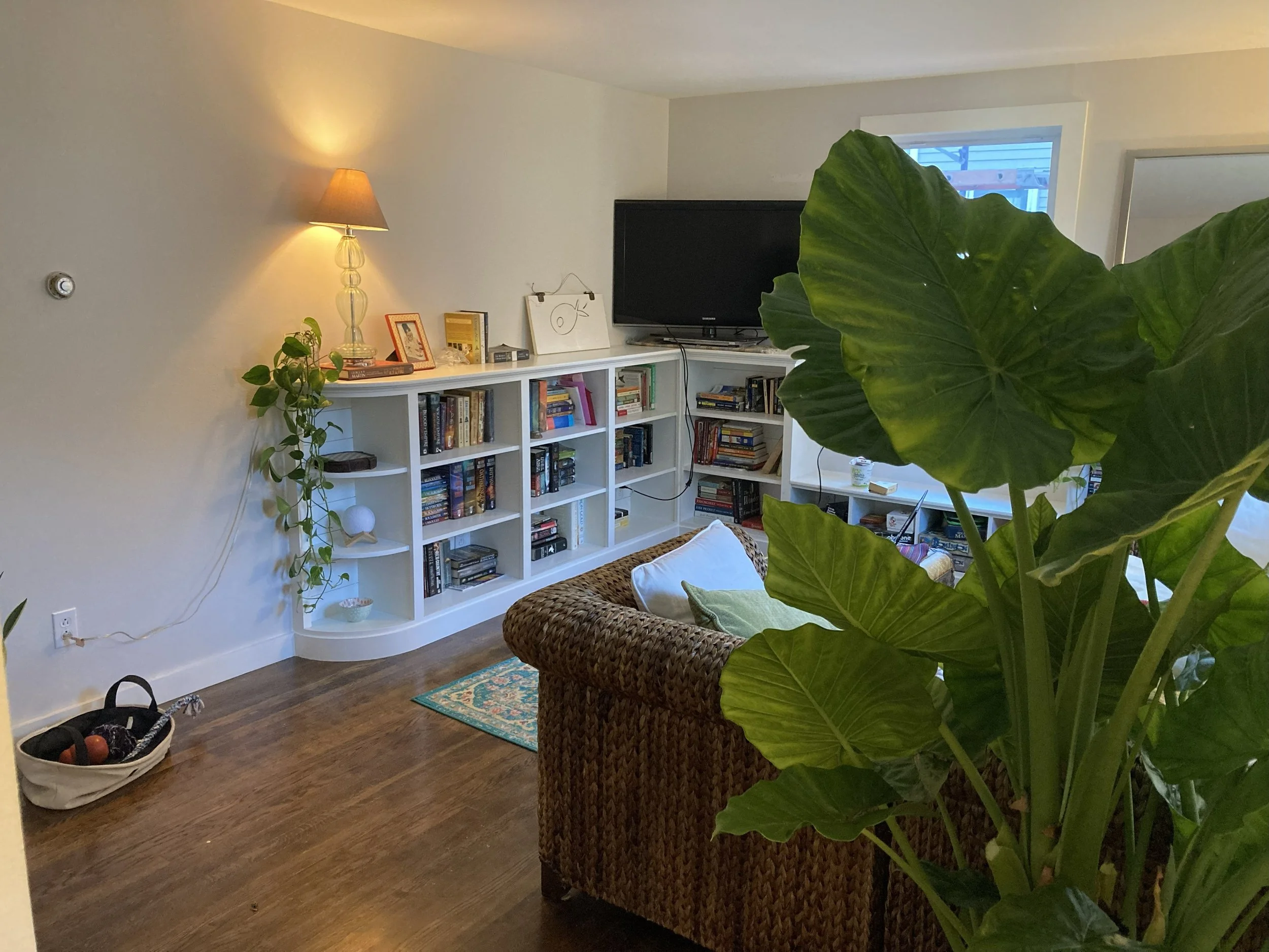 bookshelf6.jpg