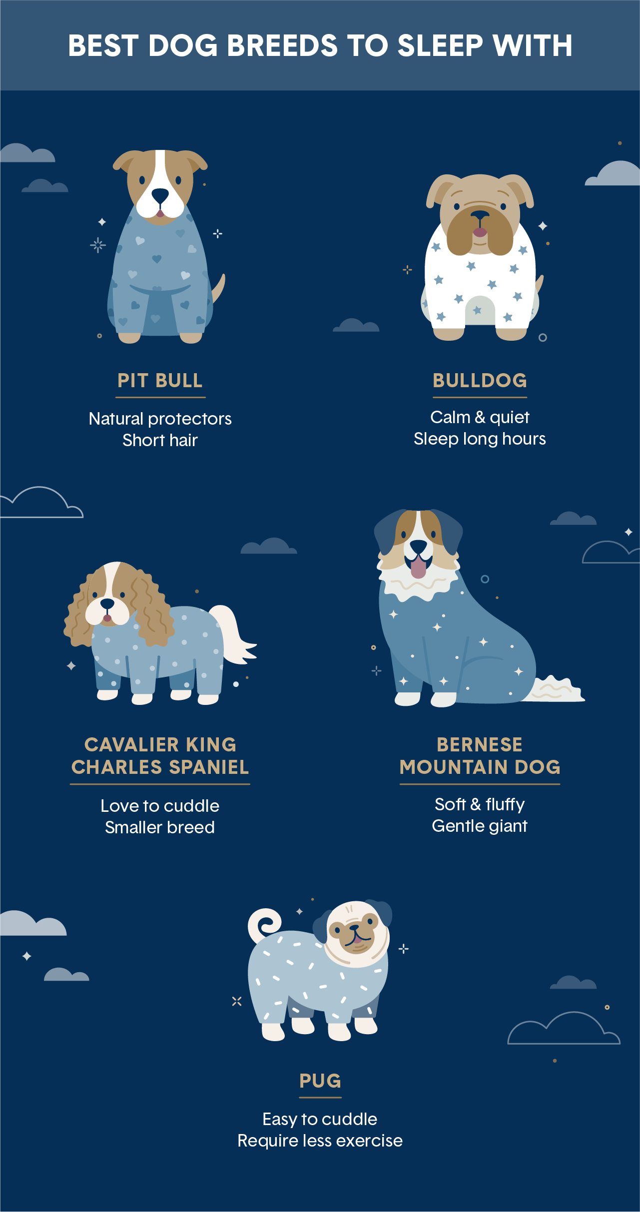 best-dog-breeds-to-sleep-with.png