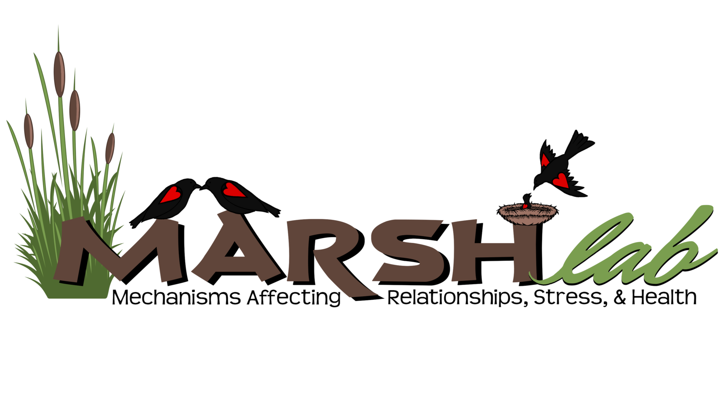 Allie Marsh Lab Logo 2.png