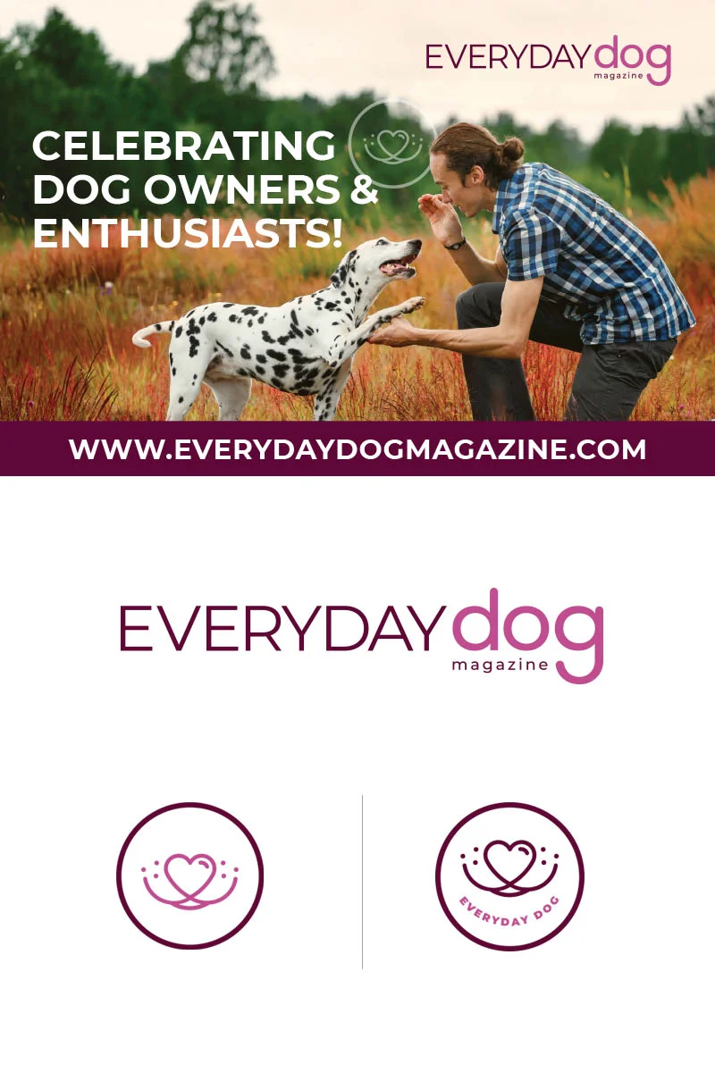 EverydayDog_Board_2.jpg