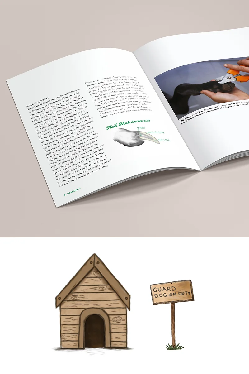 Image_Board5.jpg