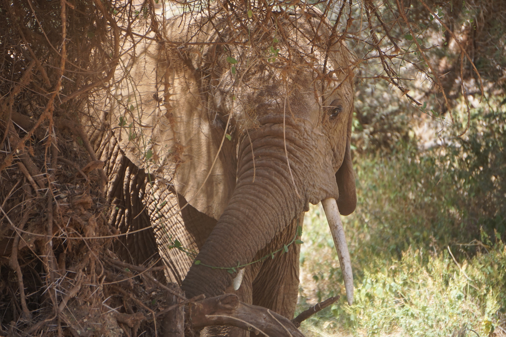 Curious 20 X 30.jpg
