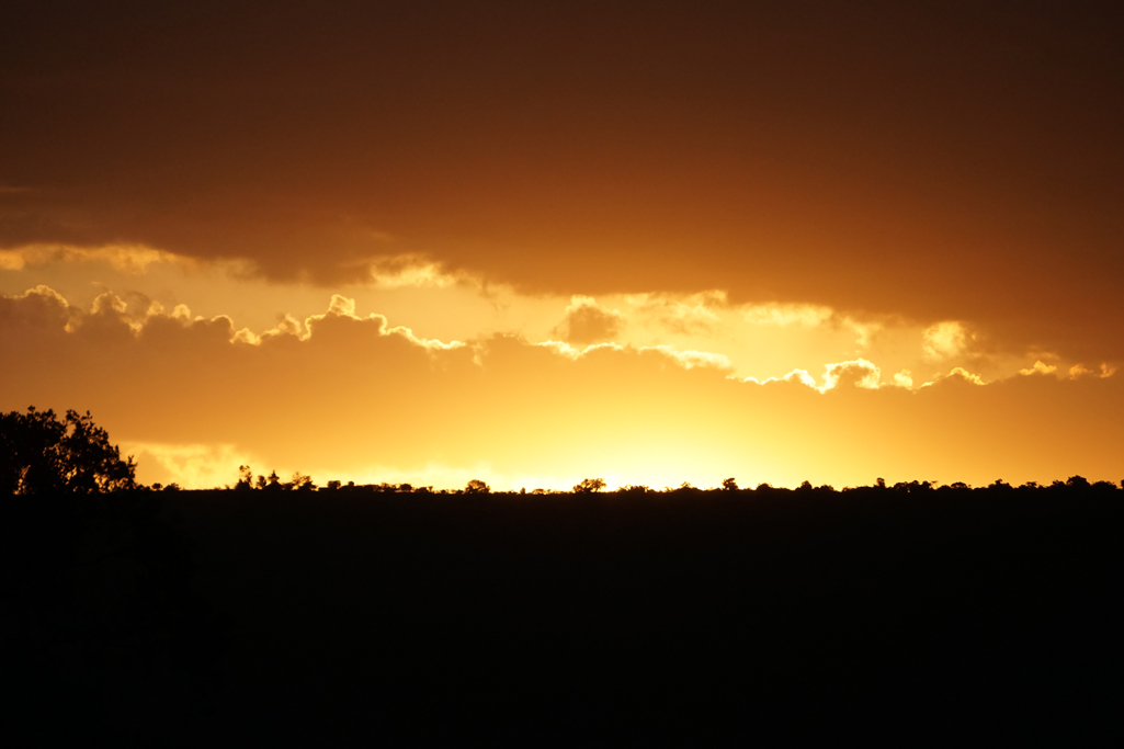 Mara Sunset 30X20.jpg