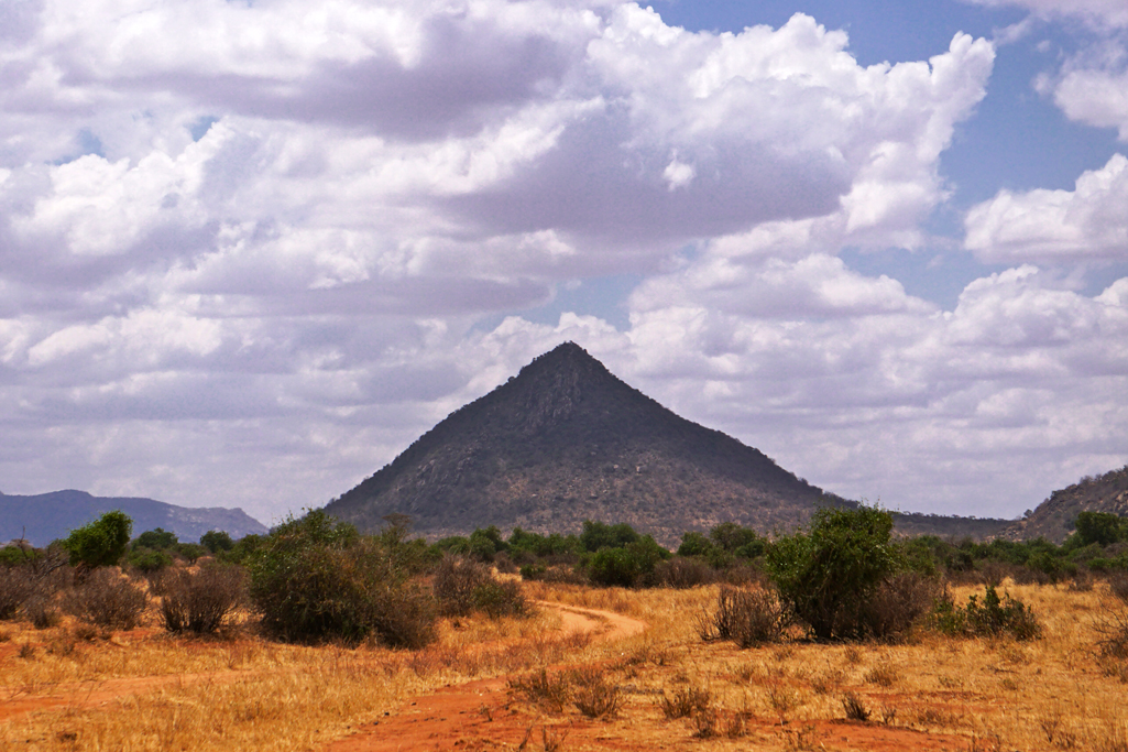 The Road Up 24X16.jpg