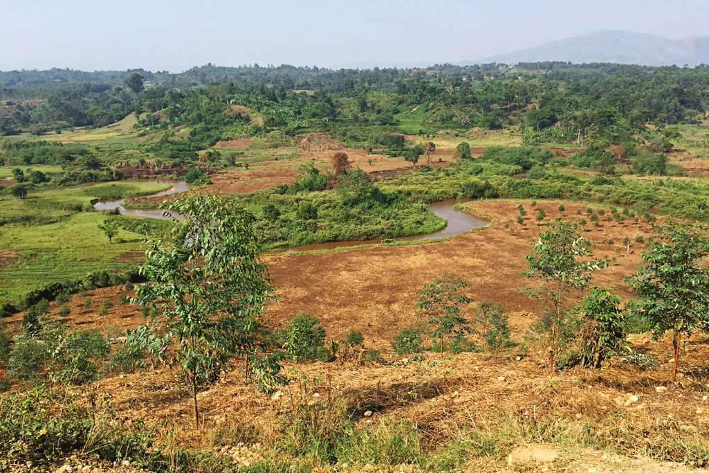 Uganda 24X16.jpg