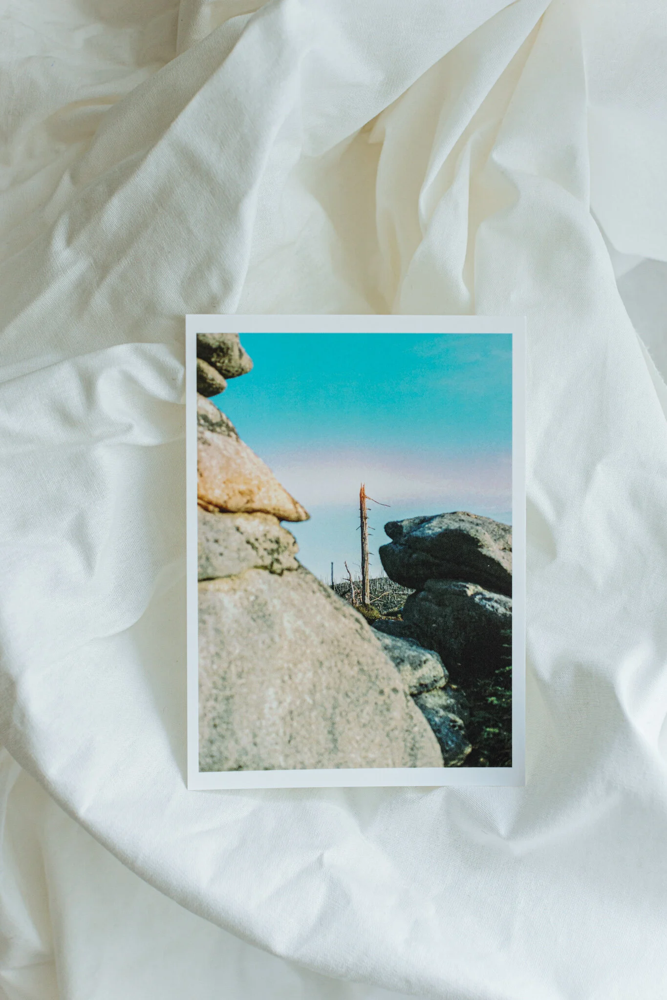 Print-Postcard-by-Theresa-Pewal-11.jpg