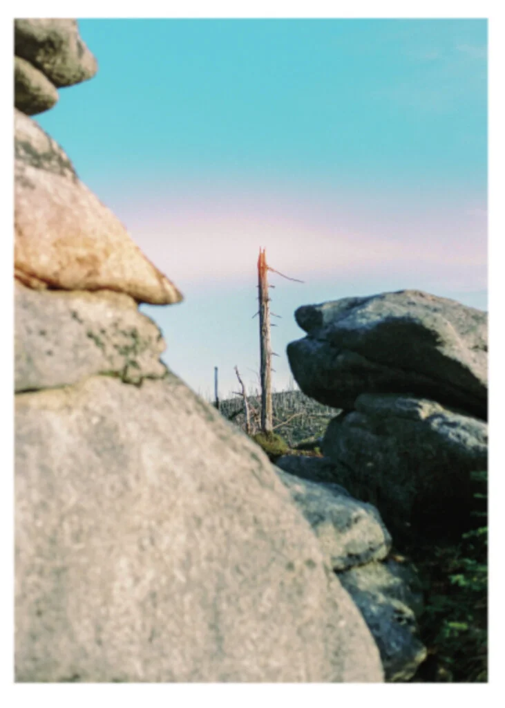 Screenshot 2020-03-26 16.38.32.jpg