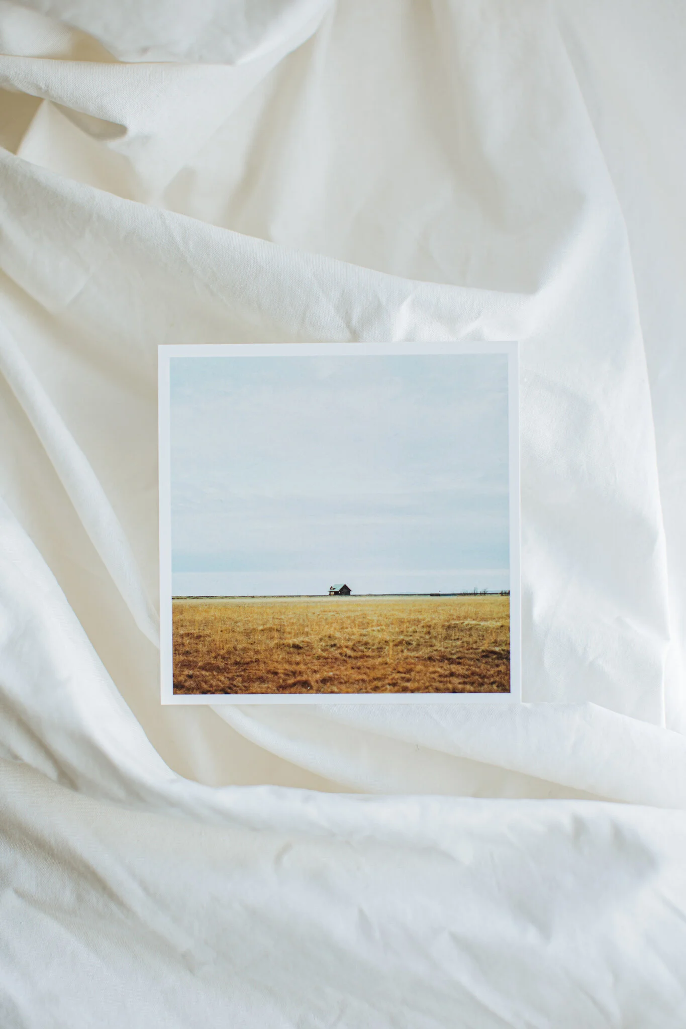 Print-Postcard-by-Theresa-Pewal-38.jpg