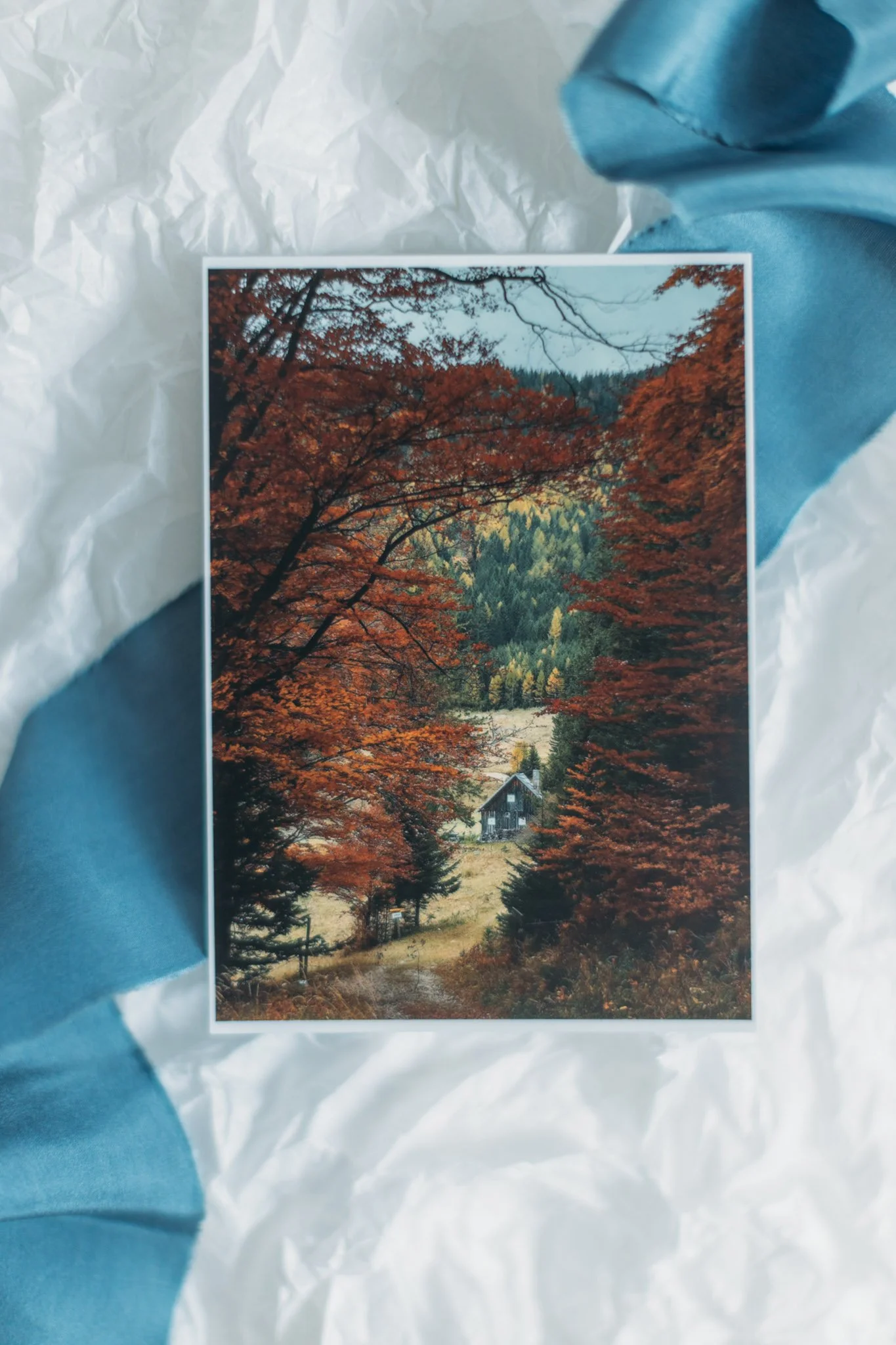 Postcard-by-Theresa-Pewal-7-2.jpg