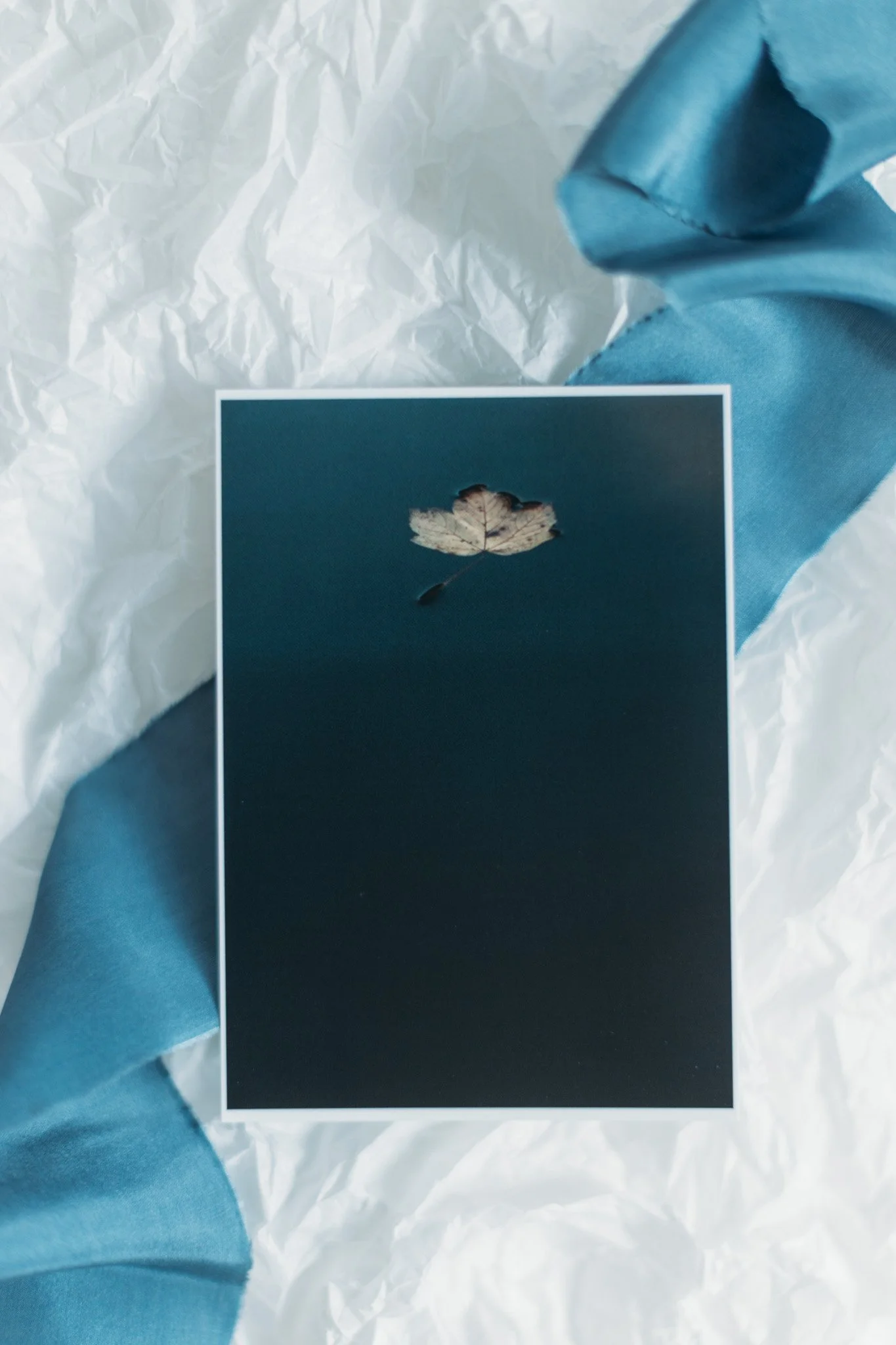 Postcard-by-Theresa-Pewal-8-2.jpg