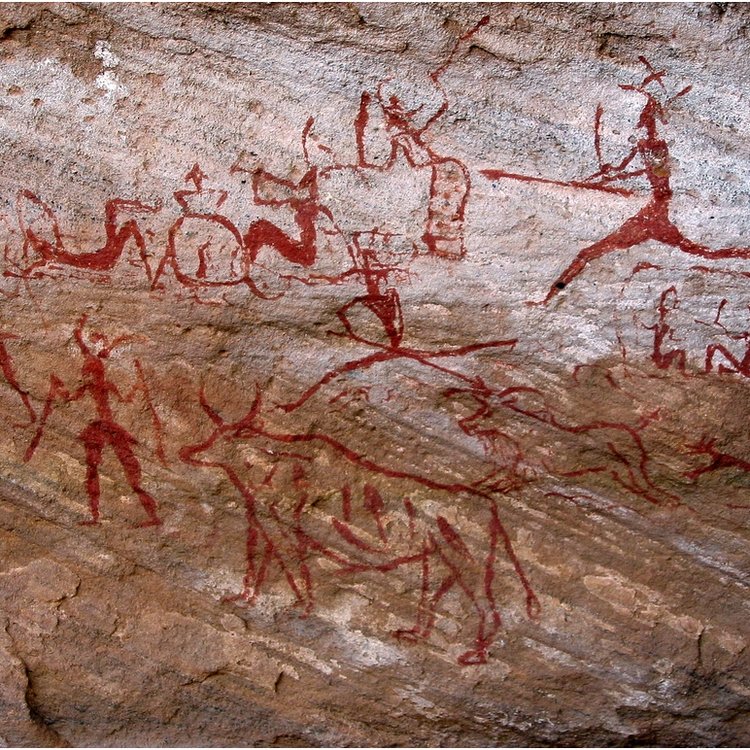 Tribe Design.jpeg