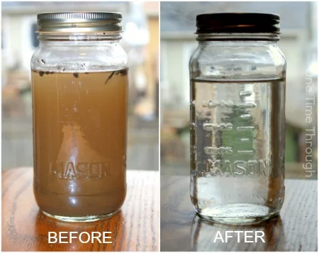 Water Pollution Science Activities from One Time Through