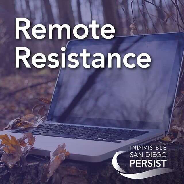 Persisters, it's been a while! We last met in March right after our world drastically changed. Now, our world has changed again. 
We have all been busy with many things: phone banking, supporting our neighbors, holding elected officials accountable, 
