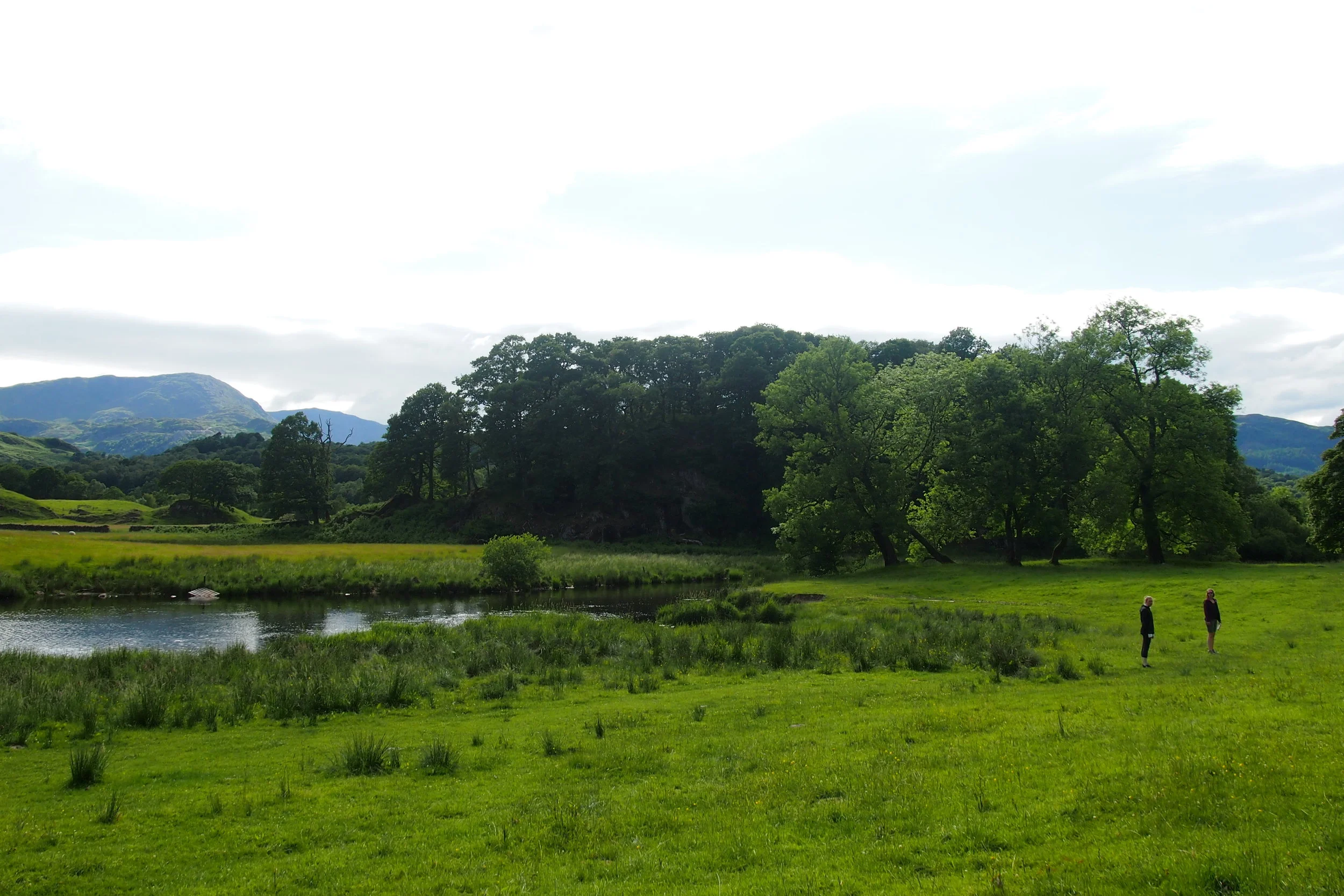 P1013860.JPG