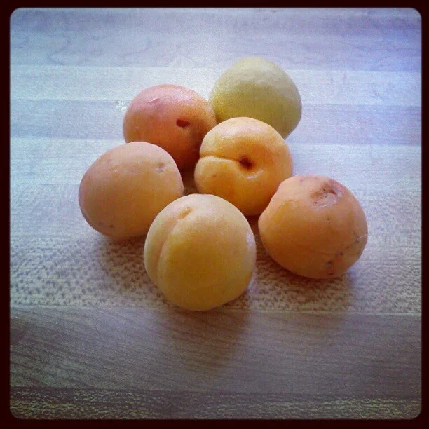 Oh those Instagram filters! This looks like the butcher block counters in the Little Blue House in Colorado. I think these apricots were from our tree. I was a food photographer way back when….