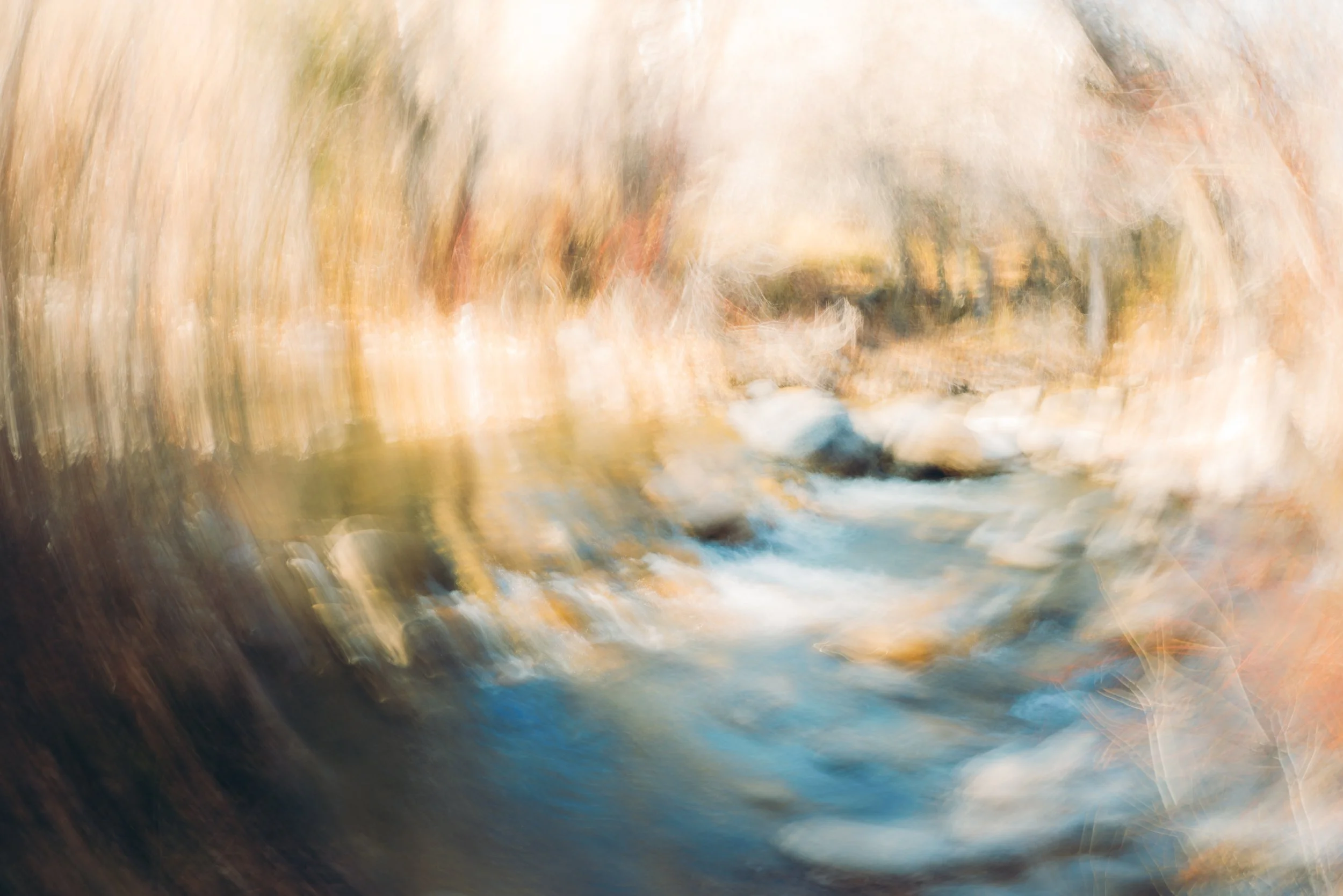 ICM-photo-Lamoille-Canyon-campsite.jpg