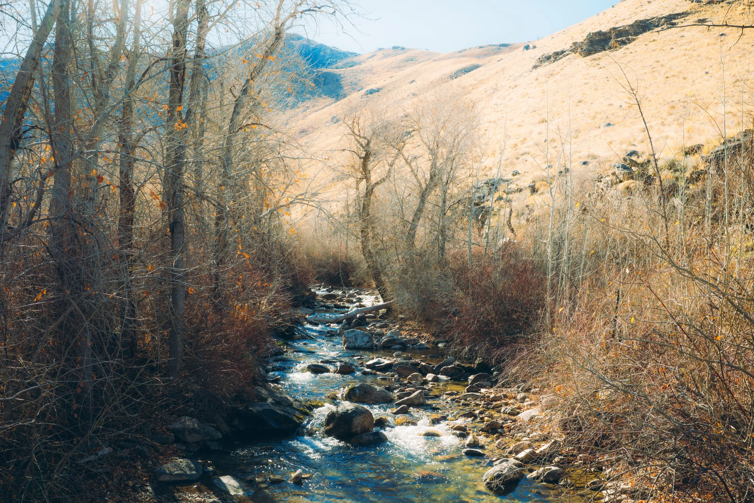 Lamoille-campsite-creek.jpg
