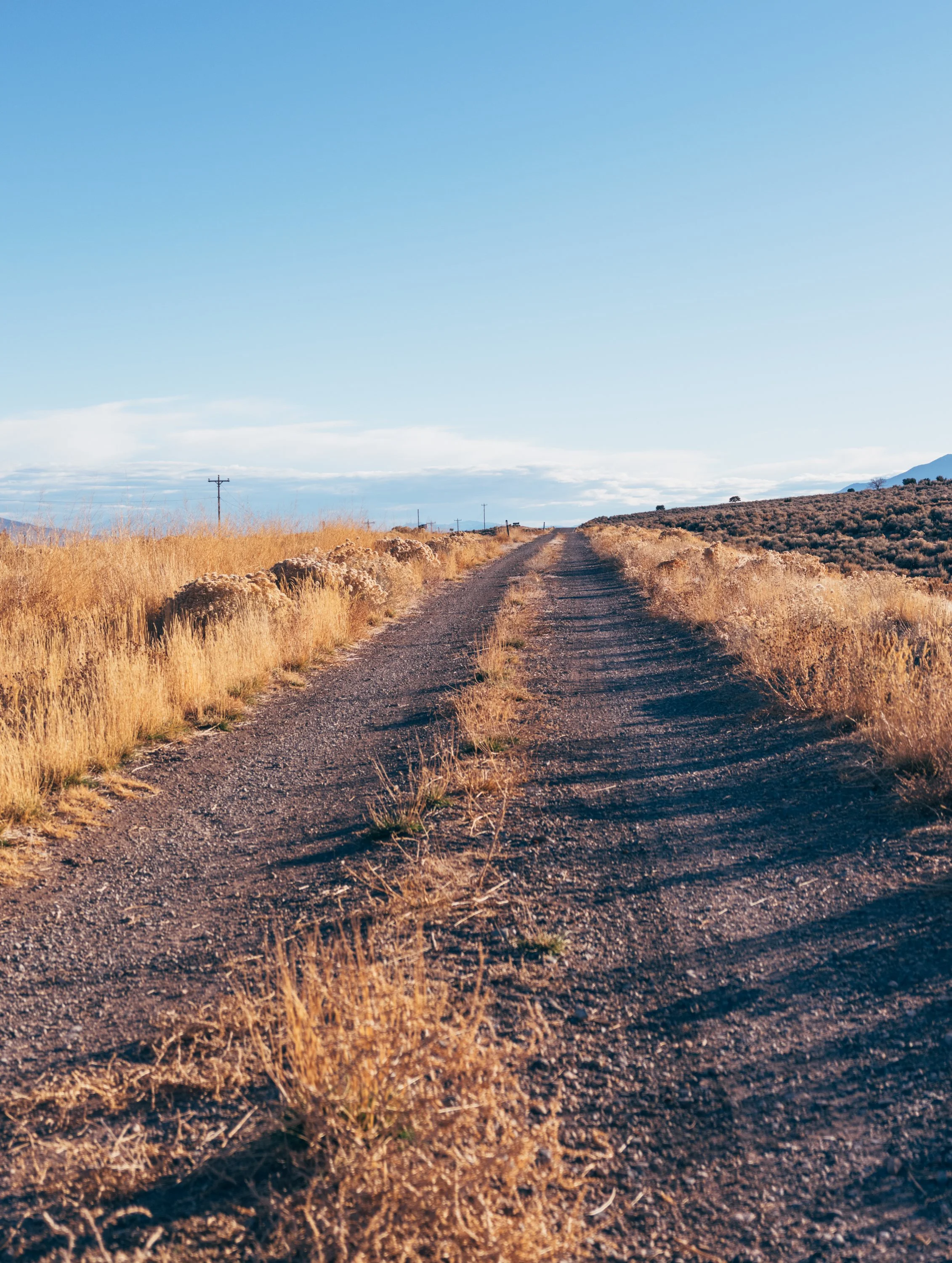 Dirt-road-favorite-road.jpg