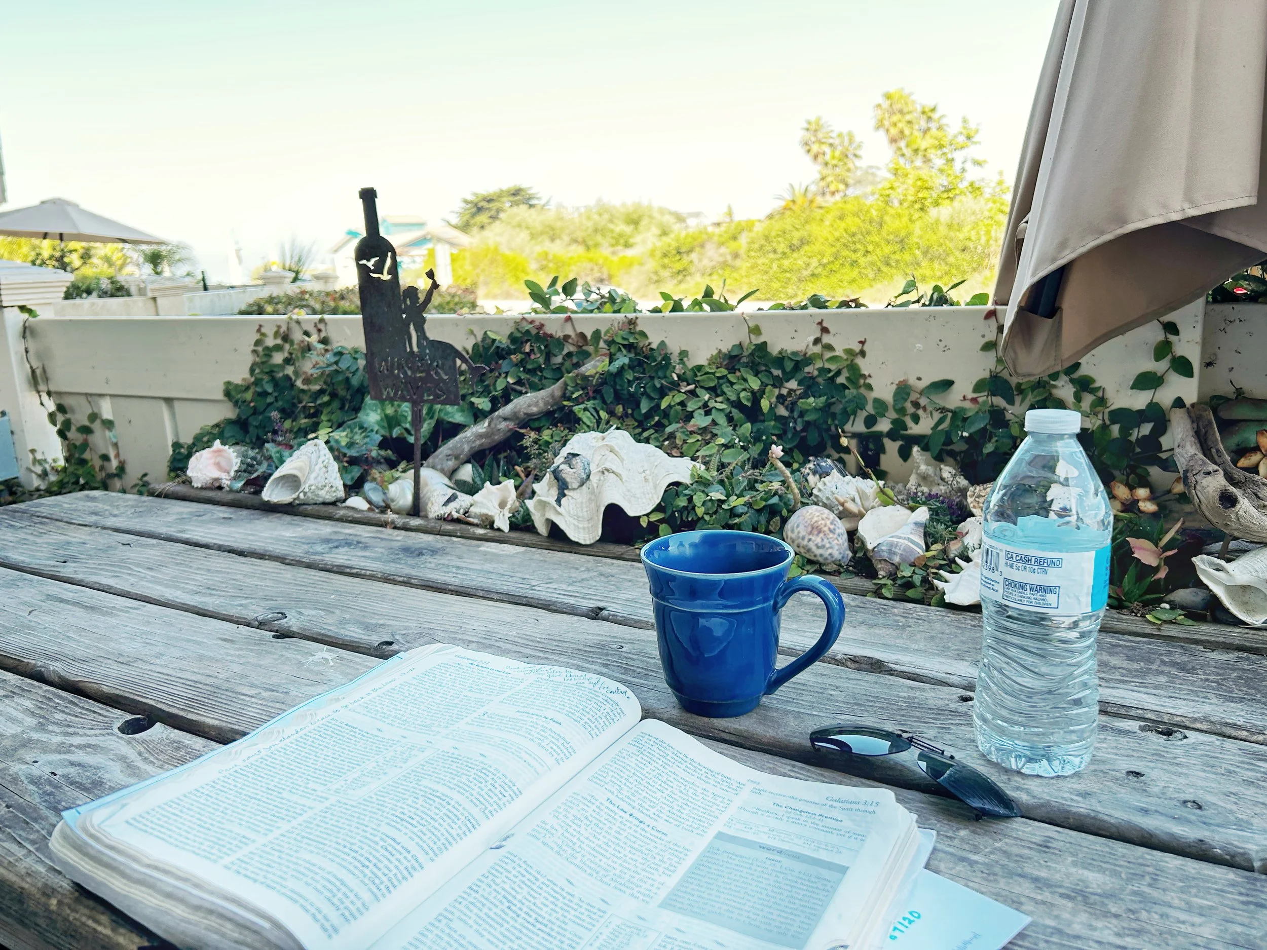 Patio-view-carpinteria-getaway-desertbloom-school-vaccation.jpg