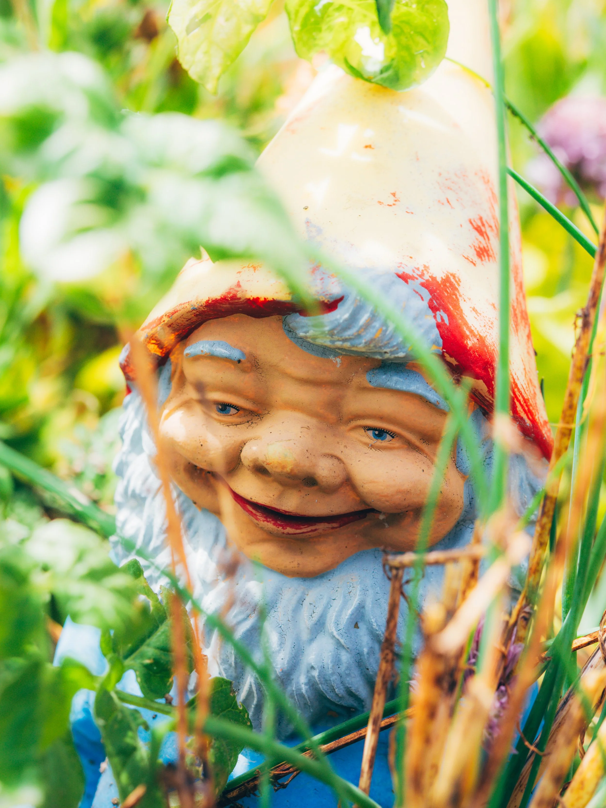 garden-gnome-community-garden-carpinteria.jpg