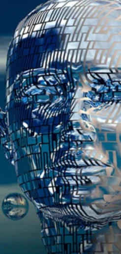 Automated wine marketing meets the needs of modern consumers and wineries of every size