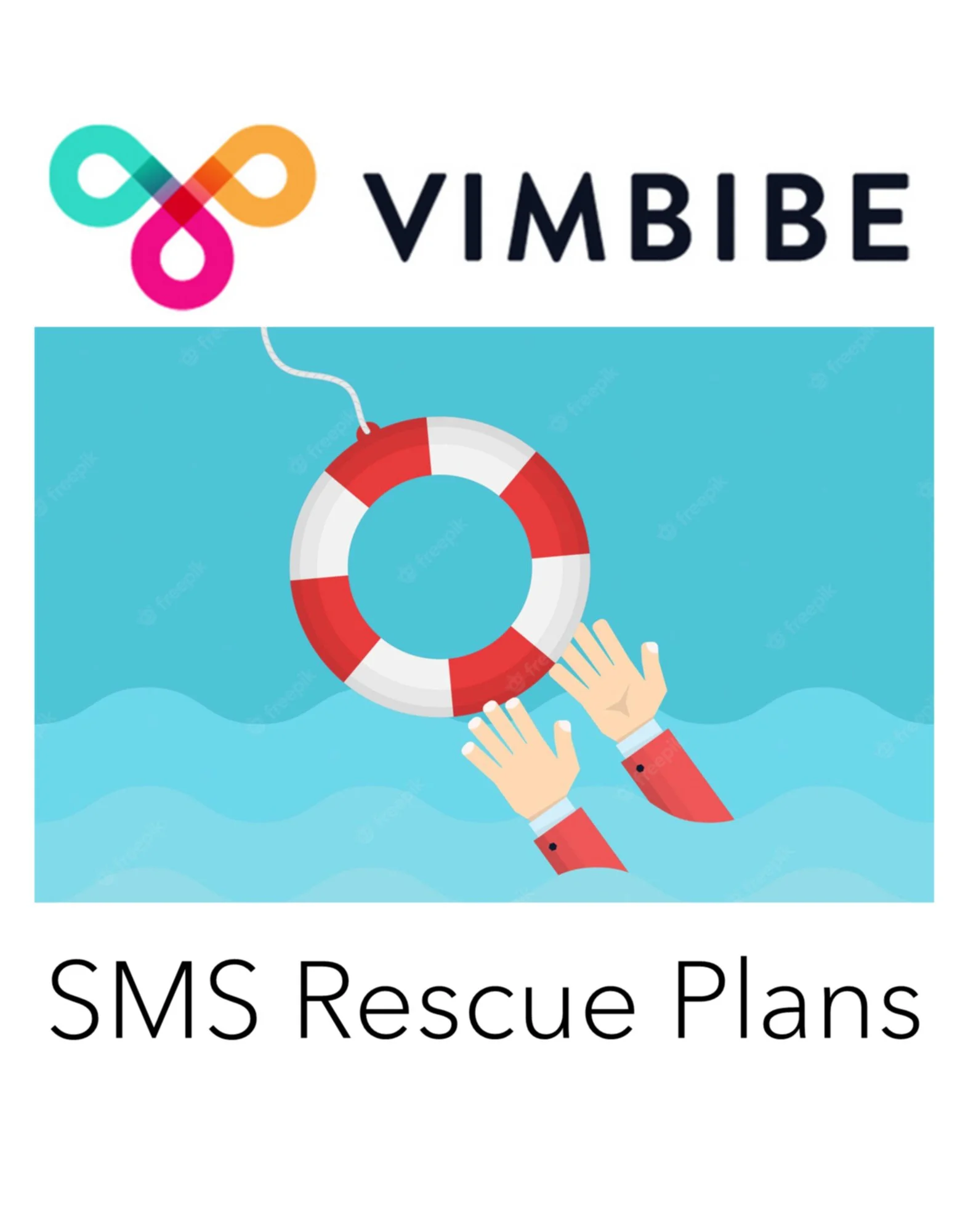 rescue_plan_vertical.jpg