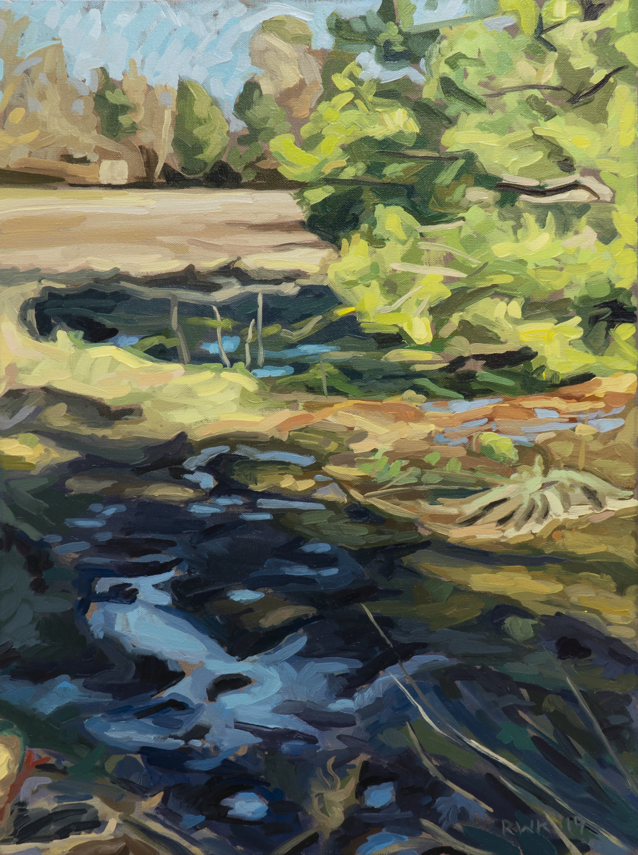 Bandy Marsh 24x18.jpg