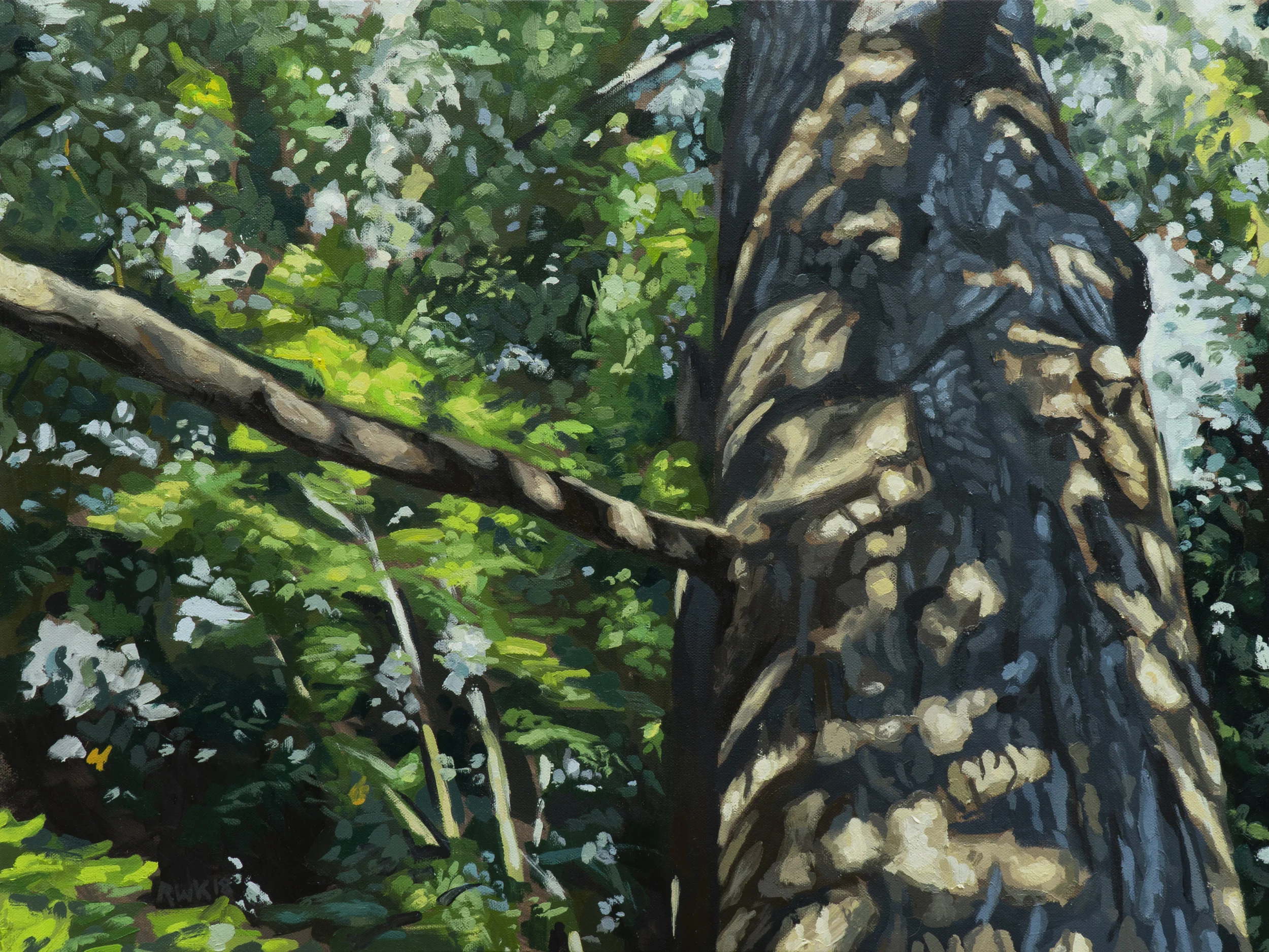 Dappled Dusk 18x24.jpg