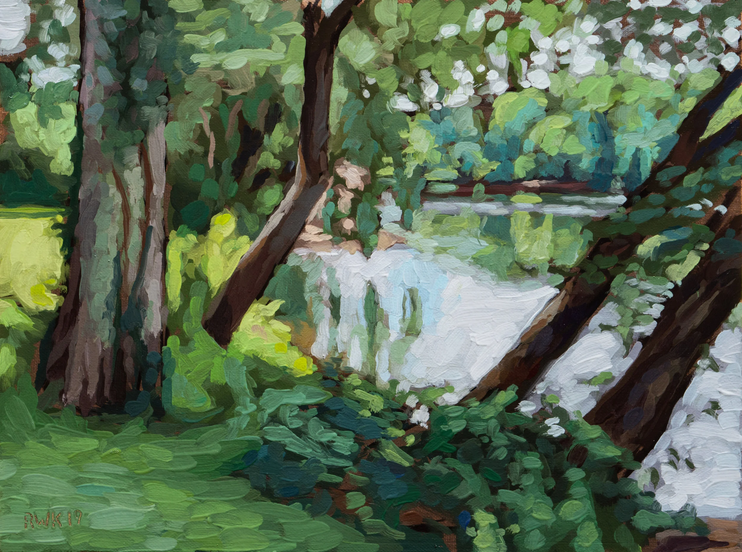 Leaning Trees June 25 2019.jpg