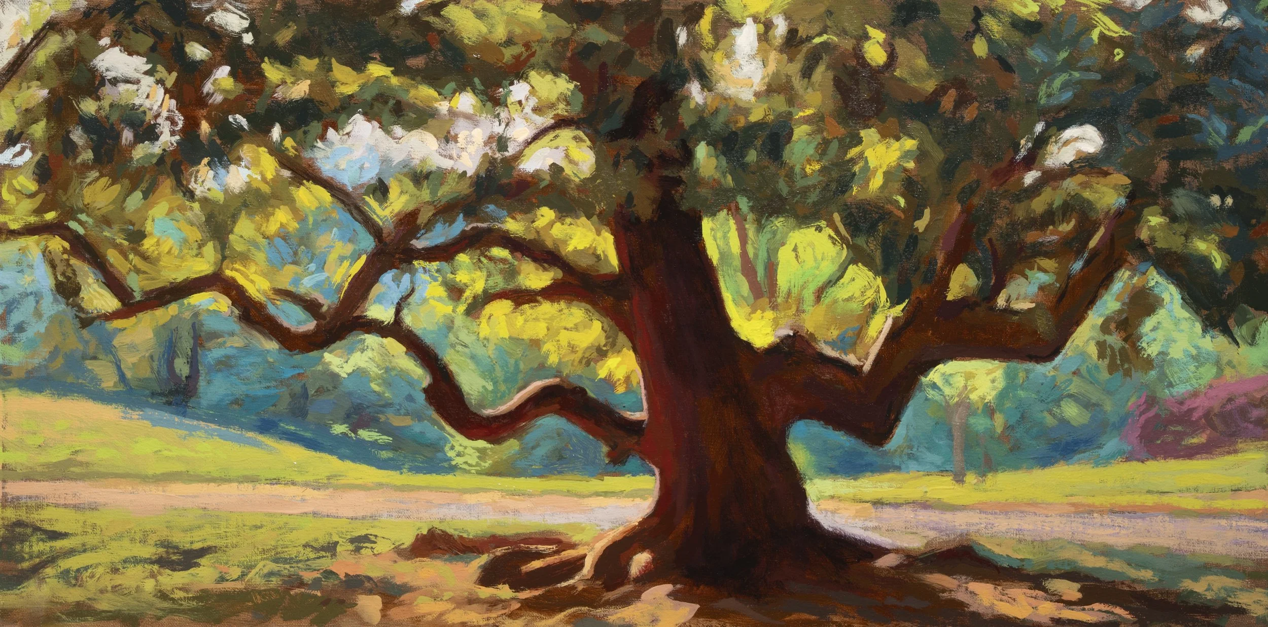 Maymont Magnolia, 10x20", 2025