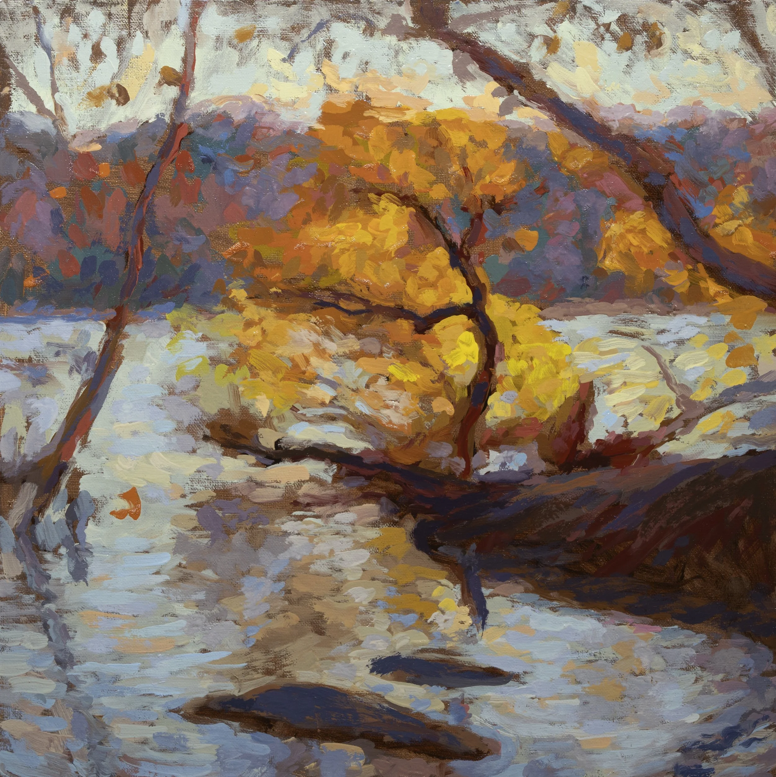 Texas Beach Sunset, 12x12, 2021.jpg
