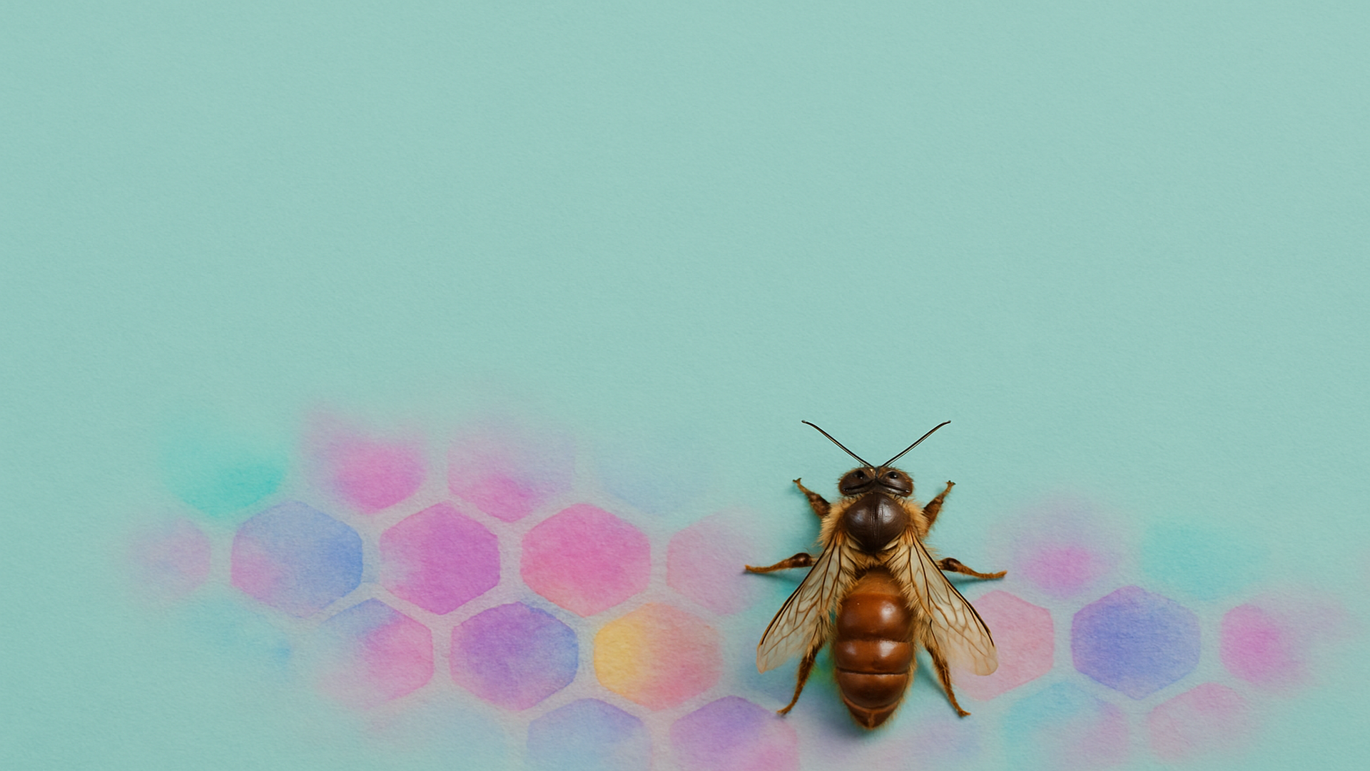 queen_bee_desktop_1920x1080.png