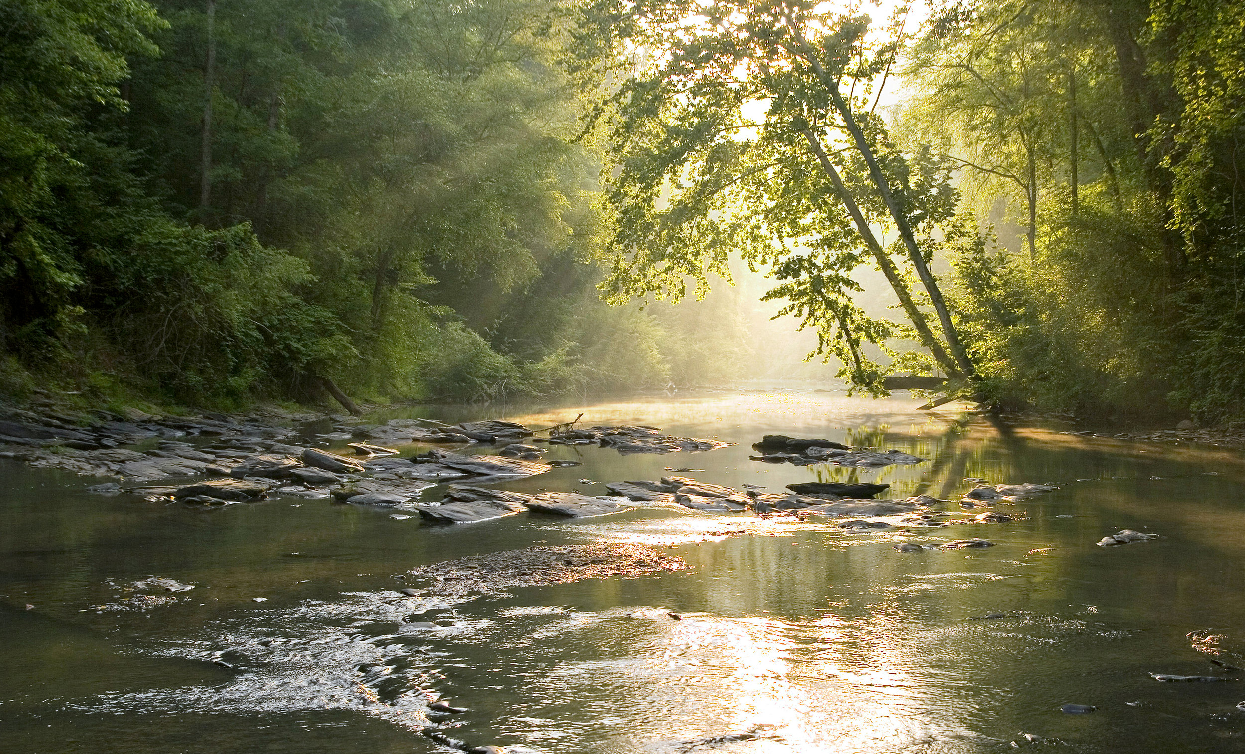 Sunrise on the Cahaba copy.jpg