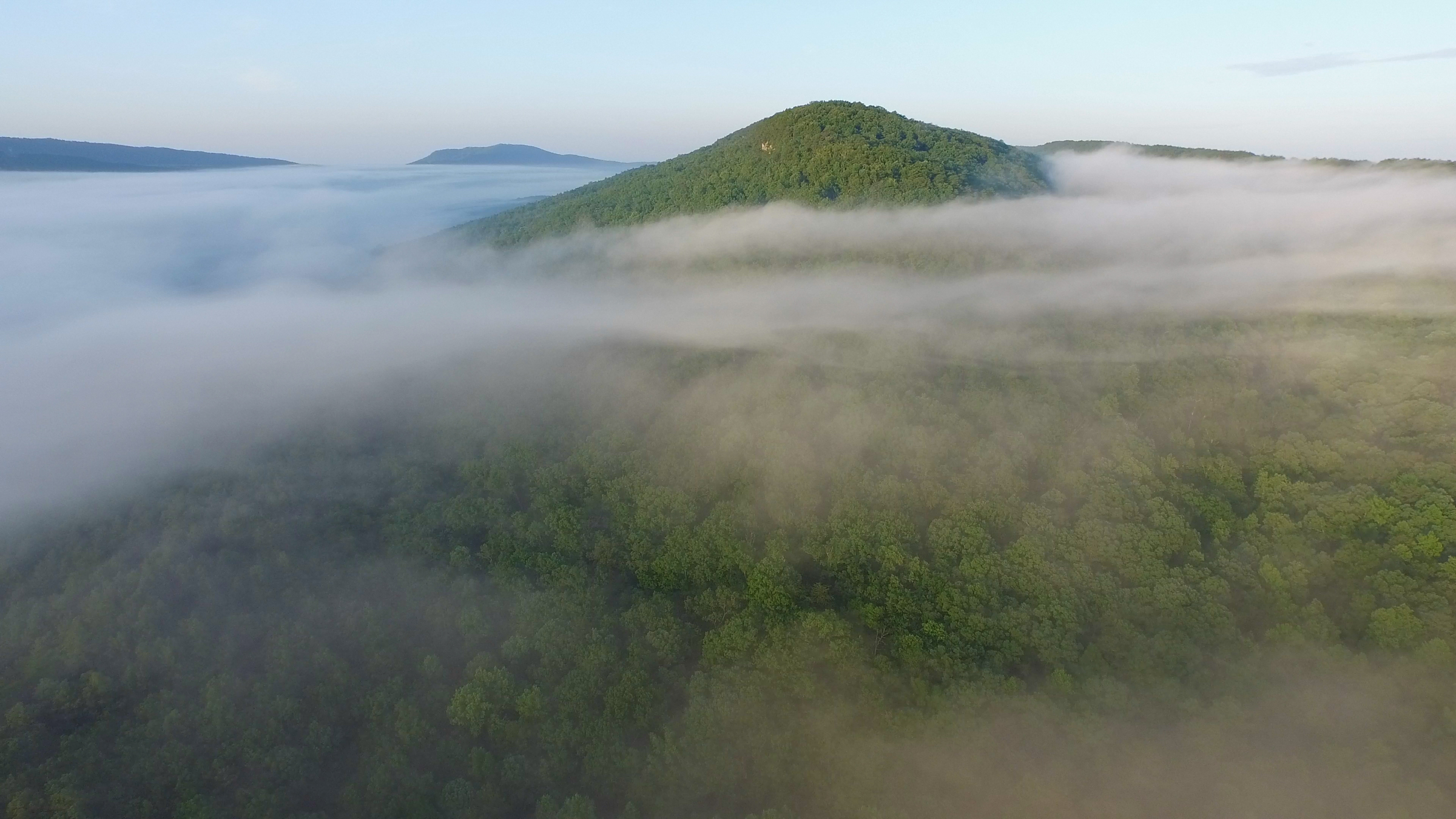 Coosa Mountain Fog.jpg