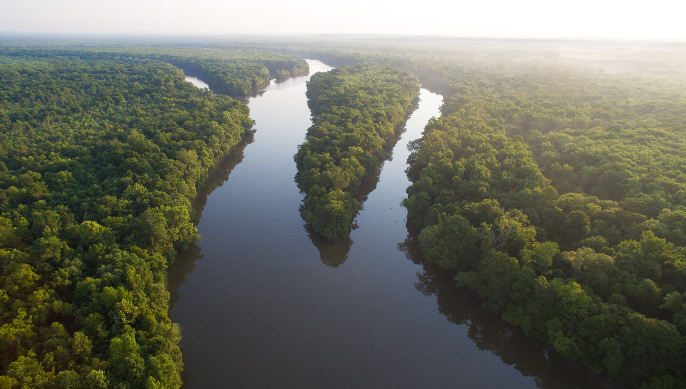 Tensaw River.jpg