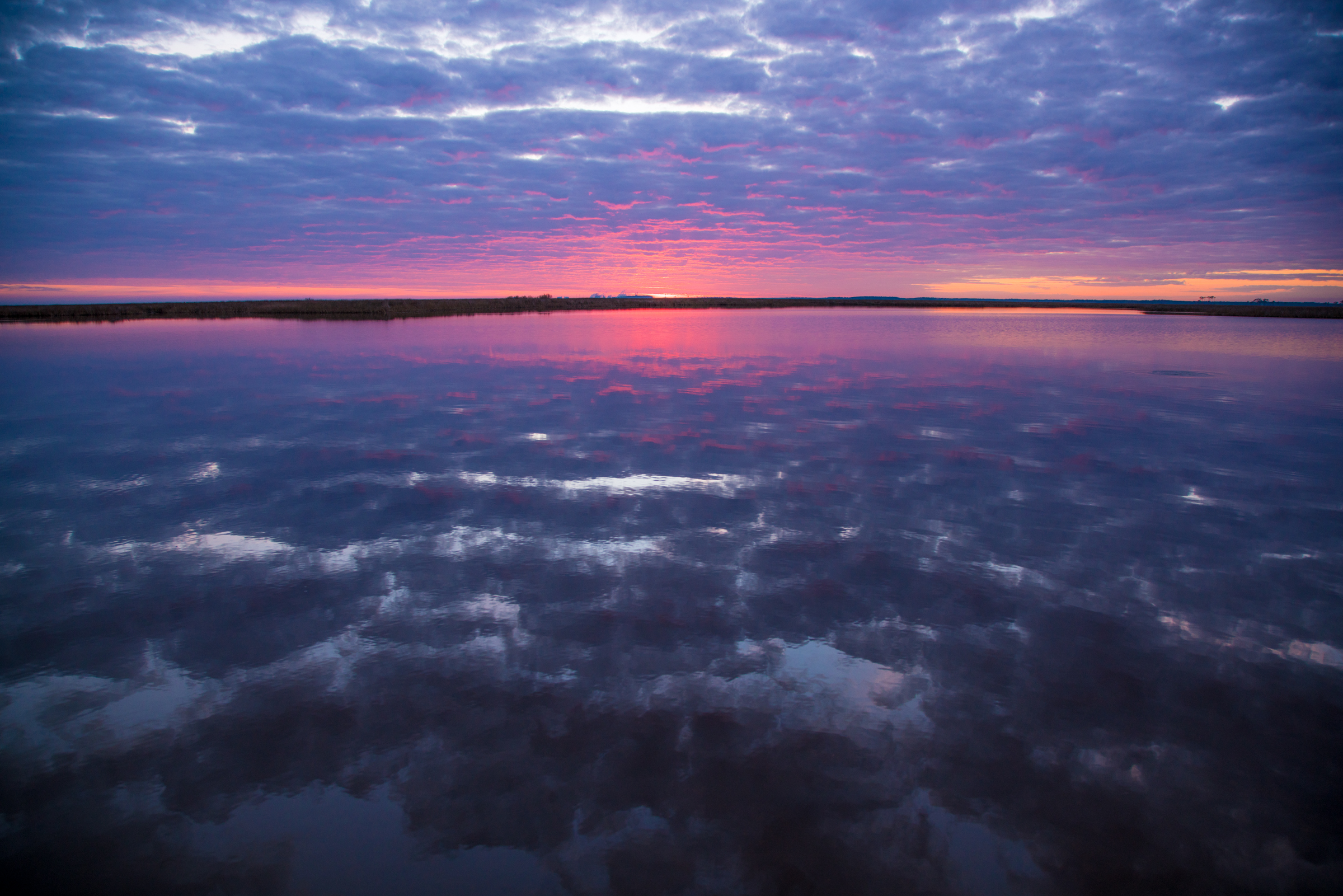 Icebergs in the Bayou.jpg