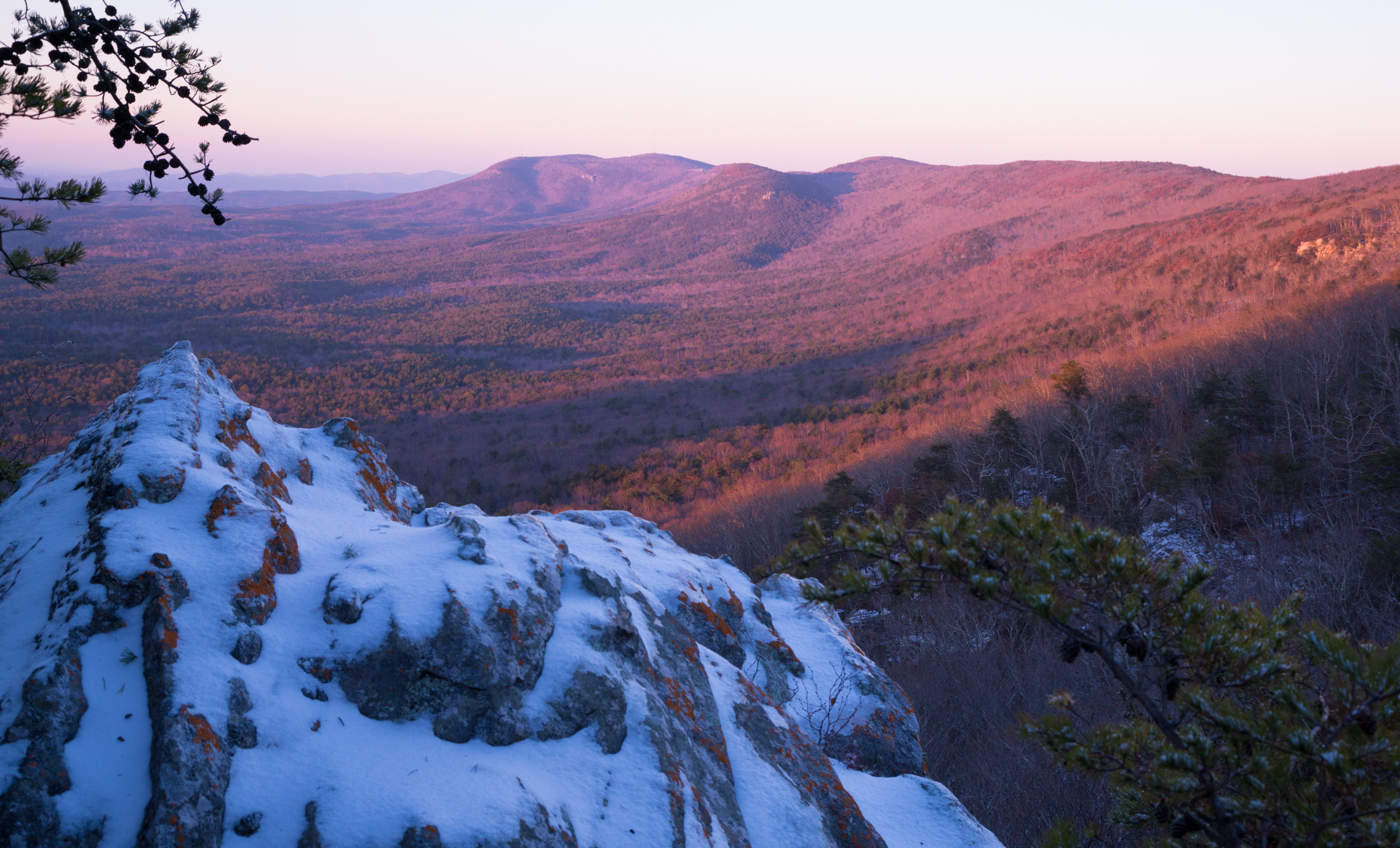 Cheaha Wilderness Area.jpg