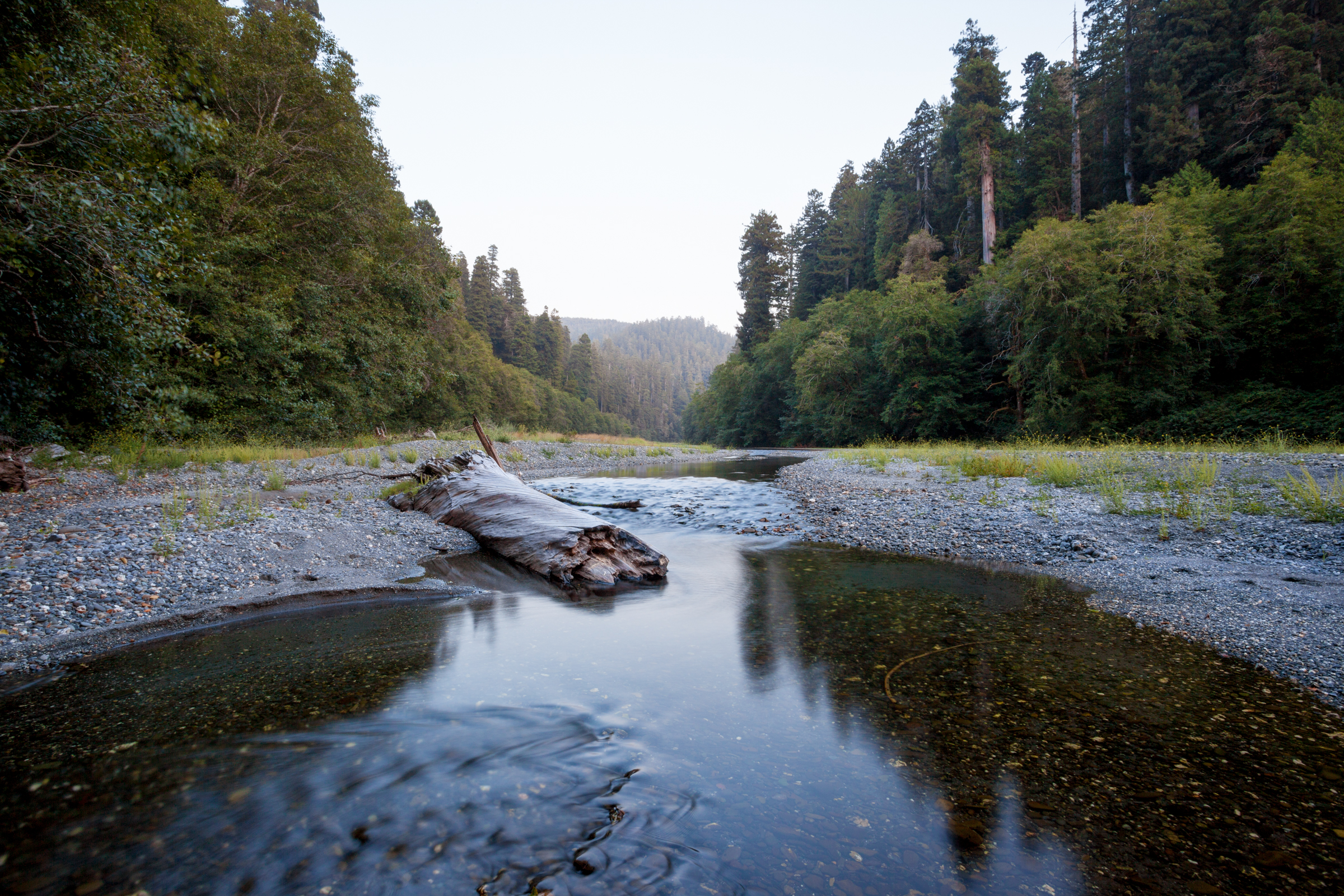 Redwood Creek.jpg