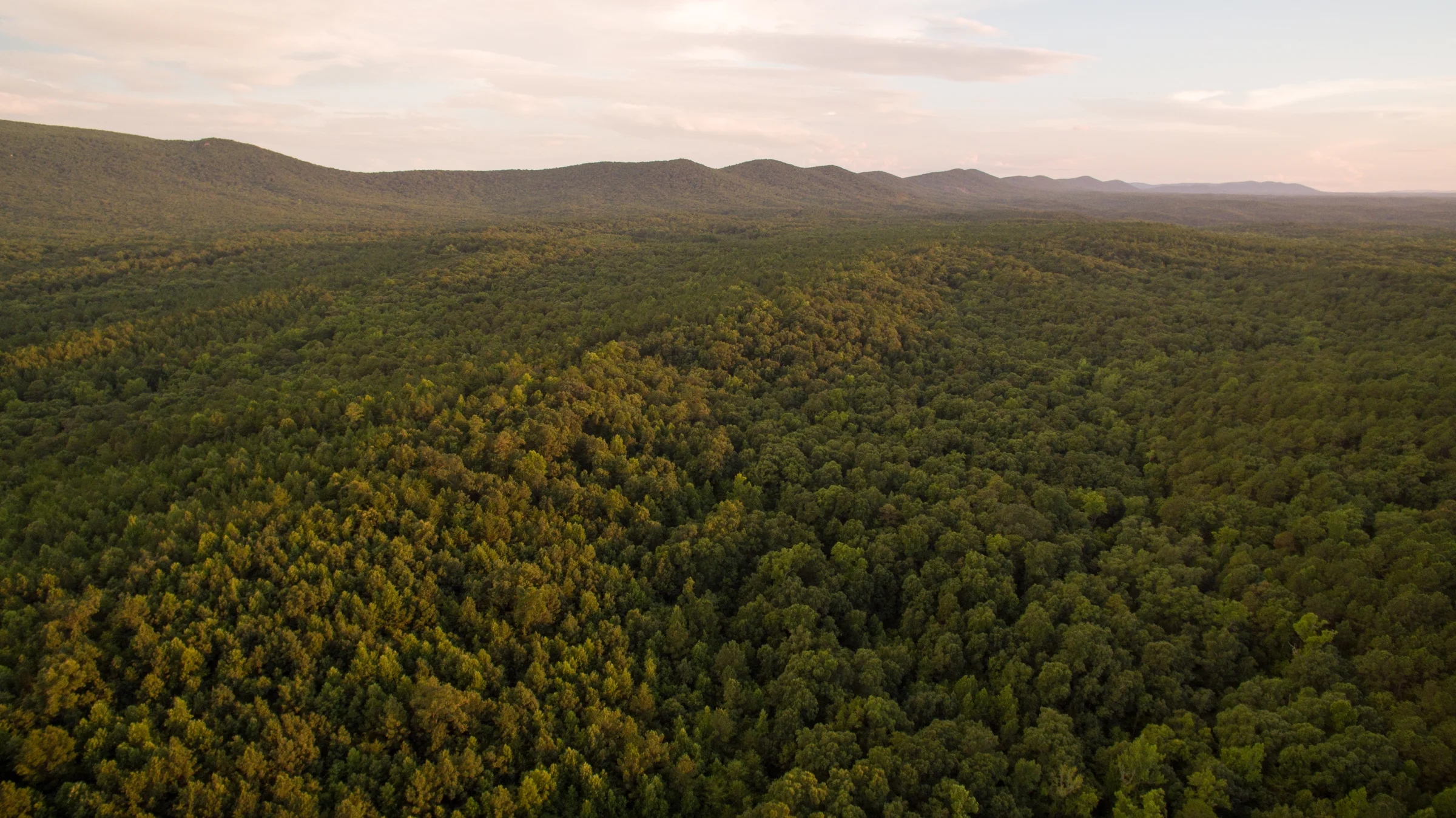 DJI_0019.jpg