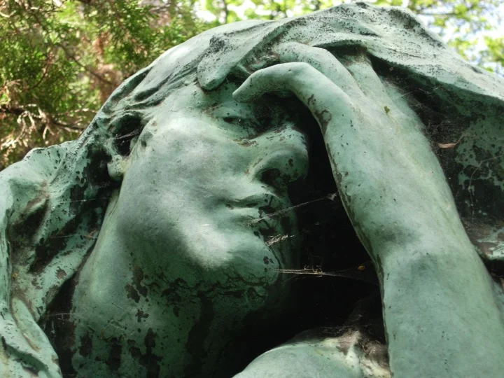 Pleurant Close-up with Web.jpg