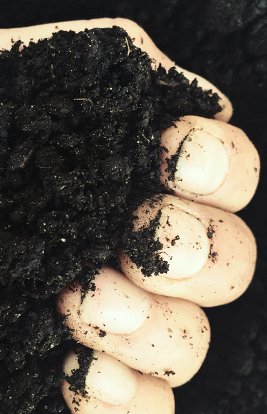 Compost Tea Making Workshops this Weekend June 3-4