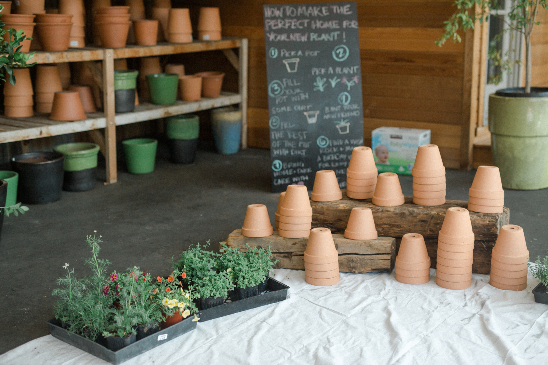 Potting Party!