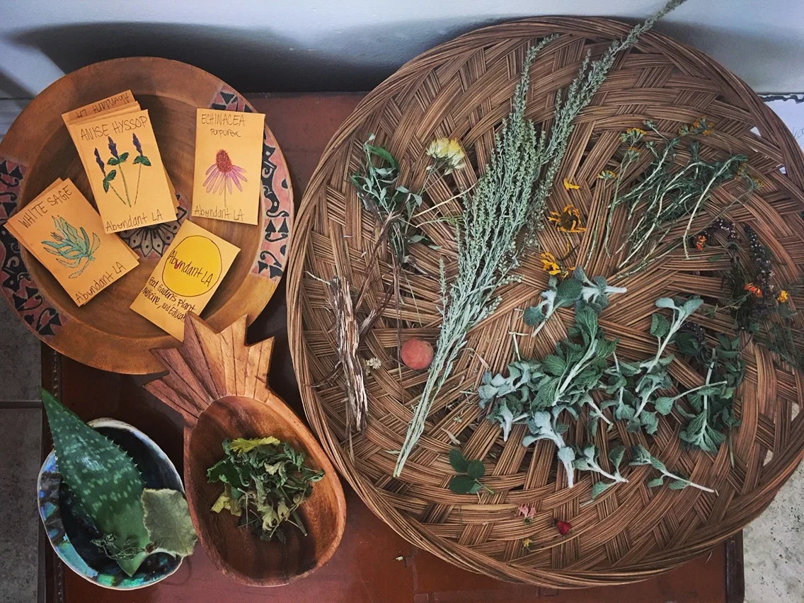 Herbs for Relaxing The Mind