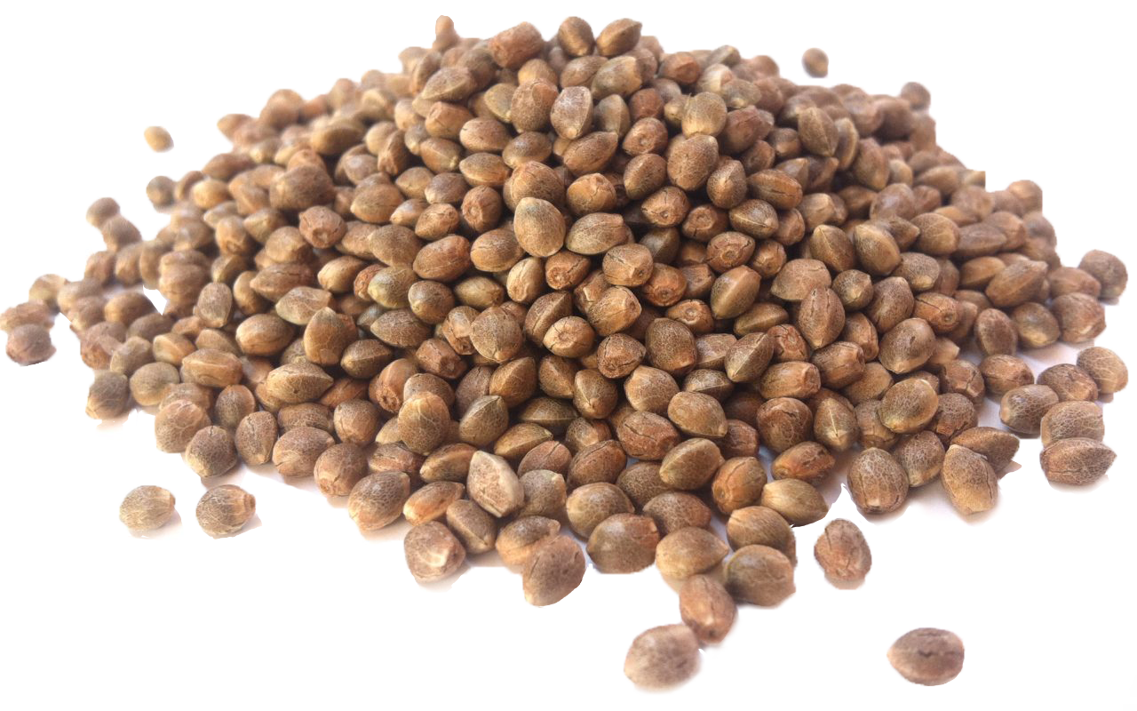 seeds.png
